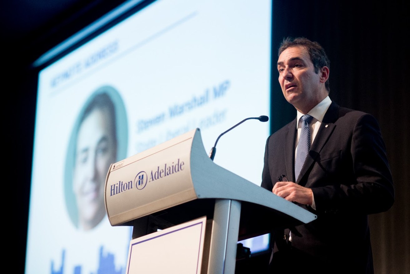 Steven Marshall has established the principles on which Liberal policy-making will be based. Photo: Nat Rogers, InDaily.