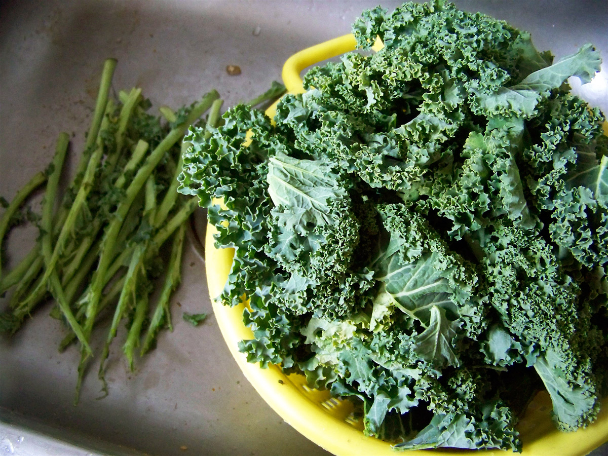 Kale-Maria-Dryden-Flickr-resized