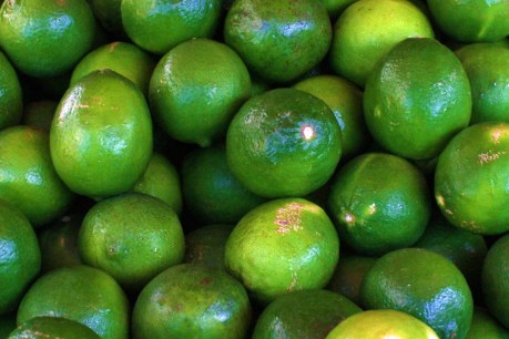 Fresh at the markets: Limes