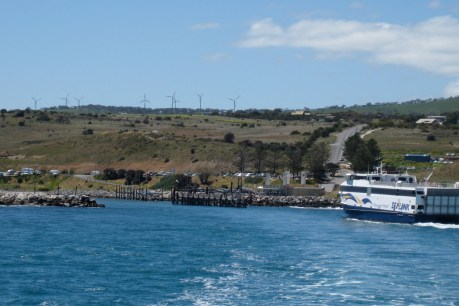 Ferry operator slams SeaLink subsidy call for bushfire-hit Kangaroo Island