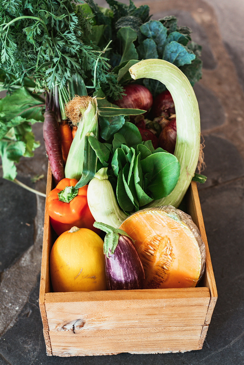 Seasonal-Garden-produce-box