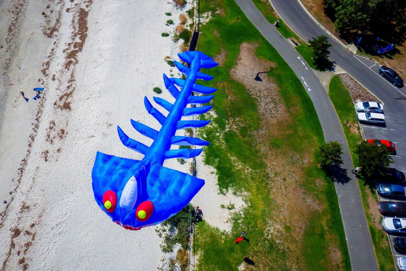 The Adelaide International Kite Festival will be held at Semaphore this weekend.
