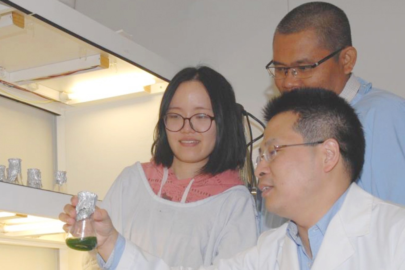 Professor Wei Zhang with postgraduate researchers Xuan Luo and Eko Sitepu at the Centre for Marine Bioproducts Development at Flinders University.
