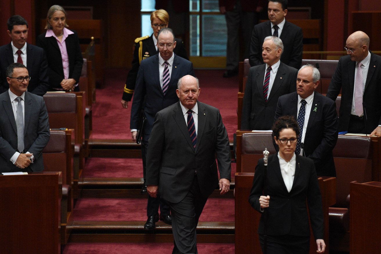 Governor General Peter Cosgrove enters the Senate to open the 44th Parliament. Photo: AAP/Mick Tsikas