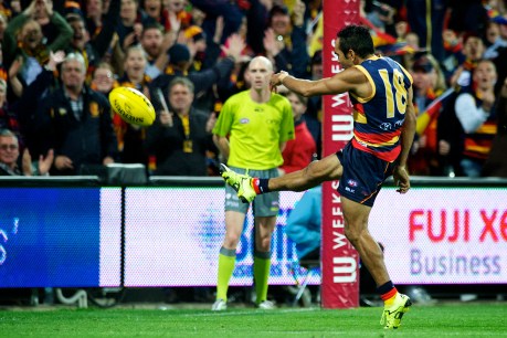 Crows expect roughhouse Hawks to target Betts