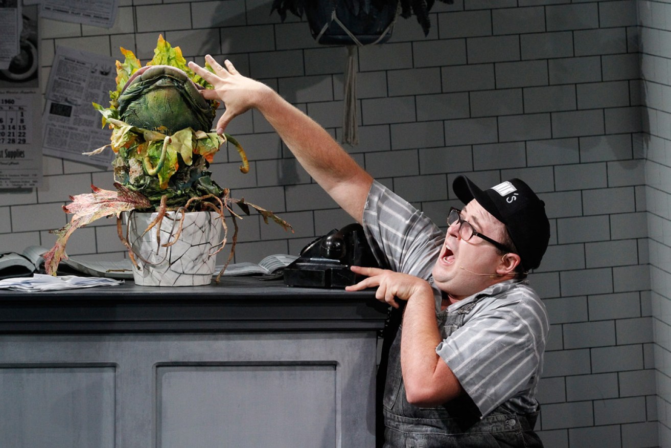 Brent Hill as lovesick Seymour in Little Shop of Horrors. Photo: Jeff Busby.