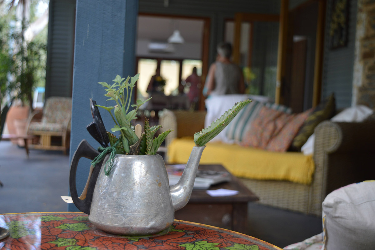 Puddings-on-the-Deck-teapot-with-succulent