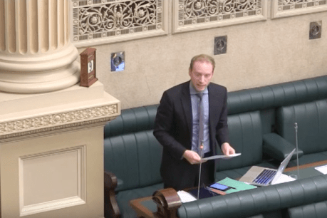 Inbred, fat, InDaily readers: Liberal MP attacks political advisers