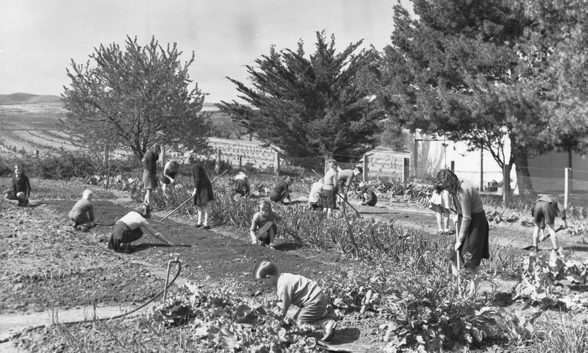 Students-in-the-school-garden-Rowland-Flat-1945-resized