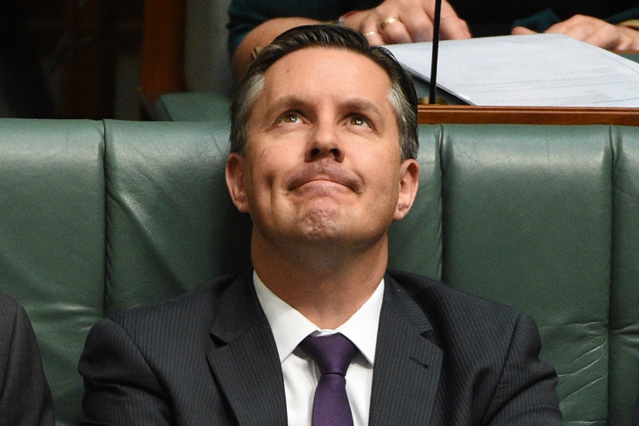 Labor Party National President Mark Butler in Question Time earlier this year. Photo: AAP/Mick Tsikas