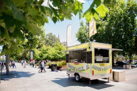 Govt deregulation could “cannibalise” food truck industry: Haese
