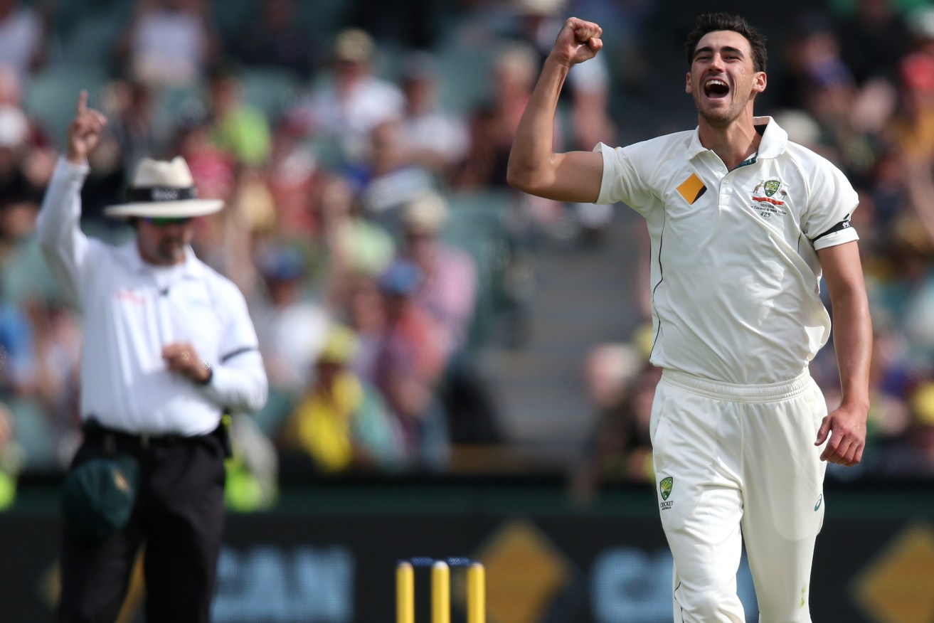 Mitchell Starc celebrates after dismissing New Zealand's Brendon McCallum during the first day/night test in Adelaide last November. Photo: Rick Rycroft, AP.