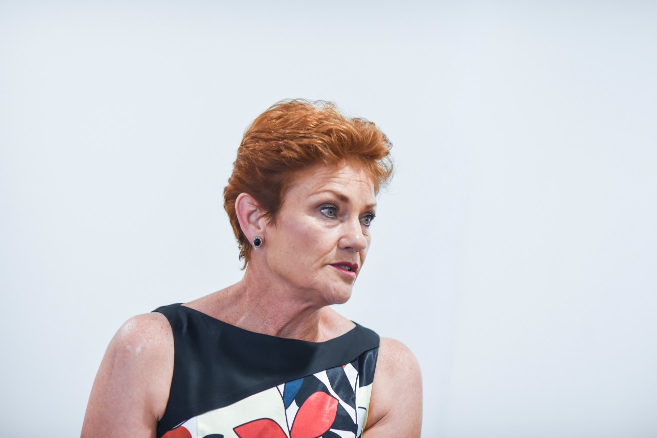 Pauline Hanson is rated an even chance to return to Federal Parliament. Photo: AAP/Lukas Coch