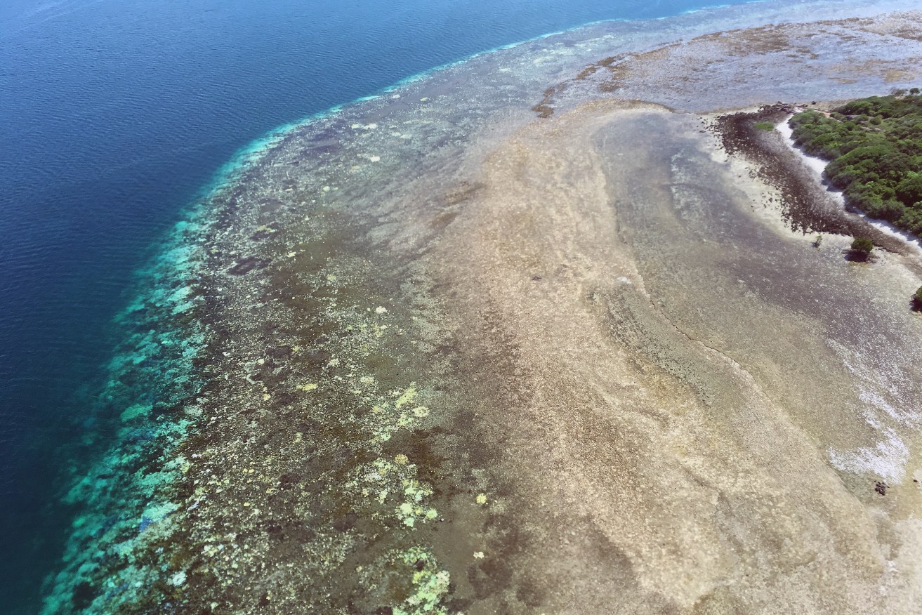 An aerial view of bleached coral reef located between Cairns and Papua New Guinea. Photo: AAP/ARC Centre of Excellence for Coral Reef Studies
