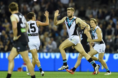 Port’s Trengove cleared after pub incident