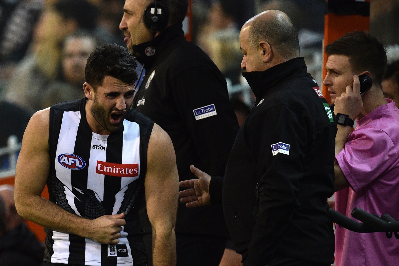 Alex Fasolo was among the walking wounded on the Collingwood bench. Photo: Julian Smith, AAP.