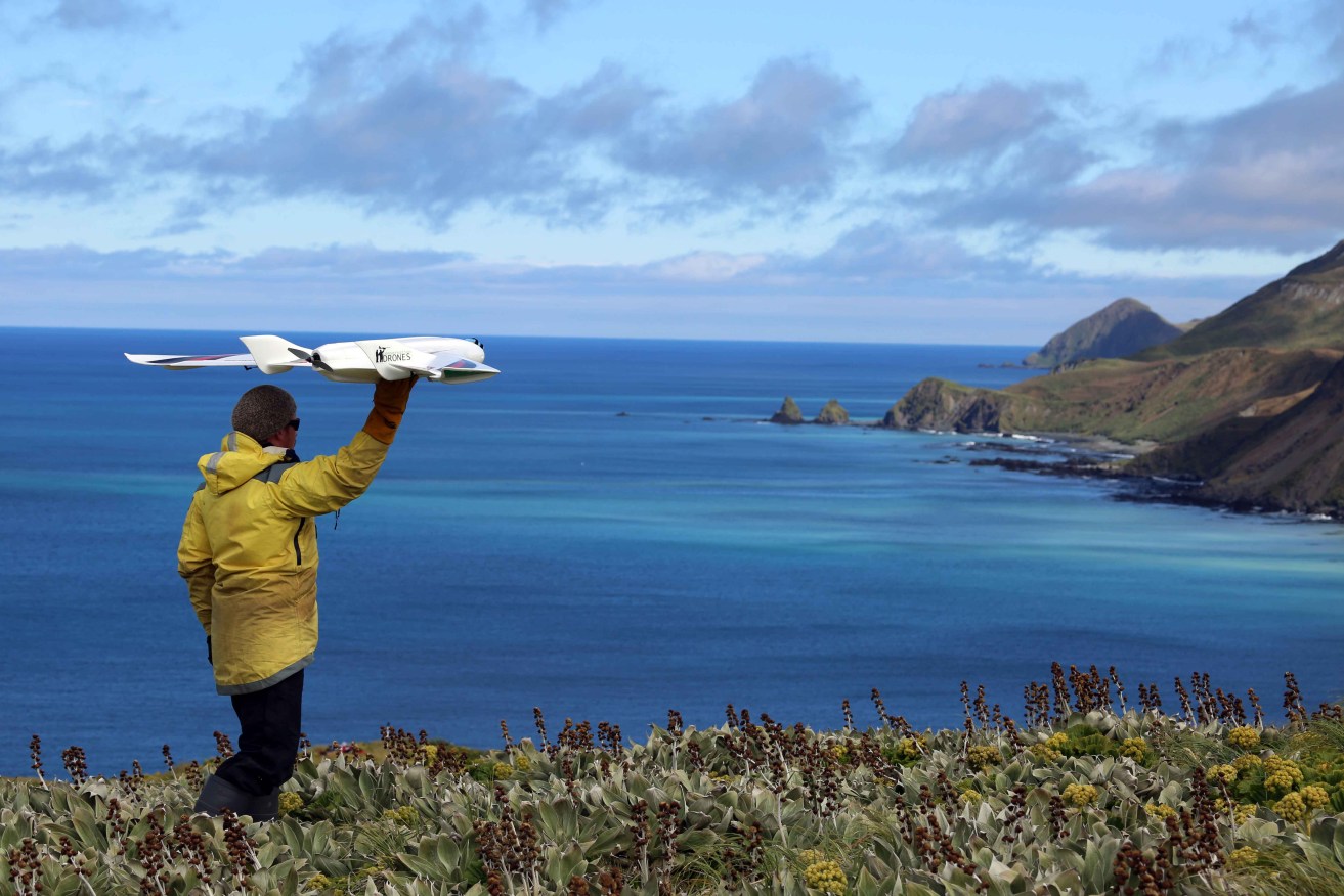 Jarrod Hodgson launches a fixed-wing UAV on Australia’s sub-Antarctic Macquarie Island. Photo: Jarrod Hodgson. 
