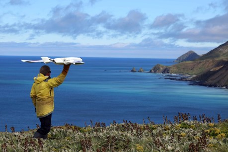 Call for code to control drone use near wildlife