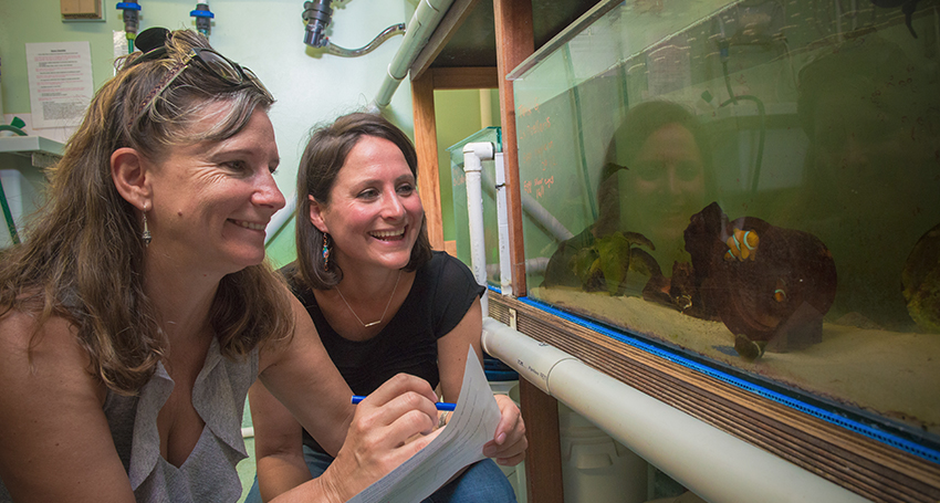 Flinders University clownfish scientists Associate Professor Karen Burke da Silva and Anita Nedosyko at the clownfish breeding facility at Flinders University.