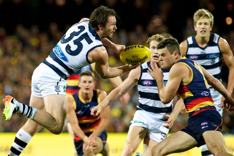 Clipping the Crows puts Cats into flag favouritism