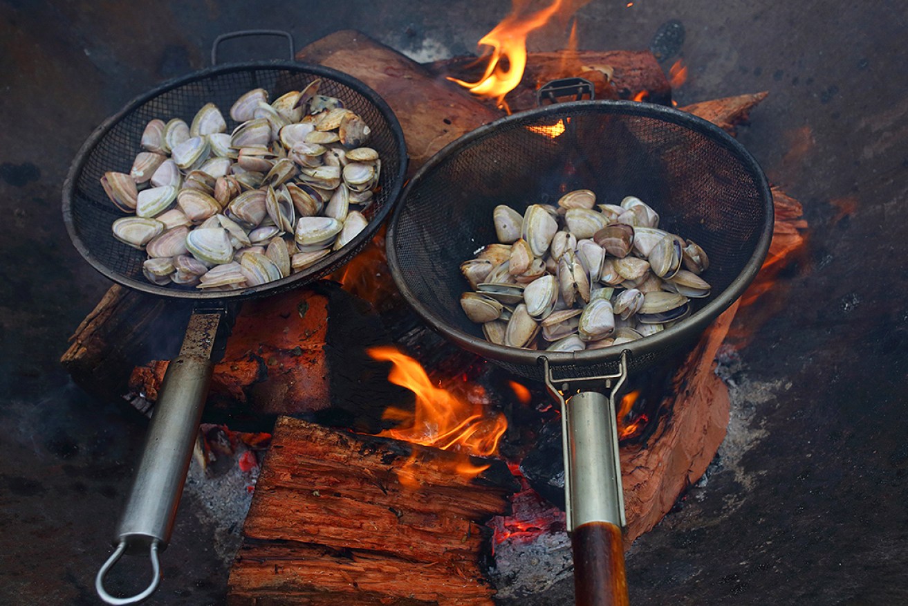 Cockles cooked on a fire pit at Lost in a Forest, Uraidla.