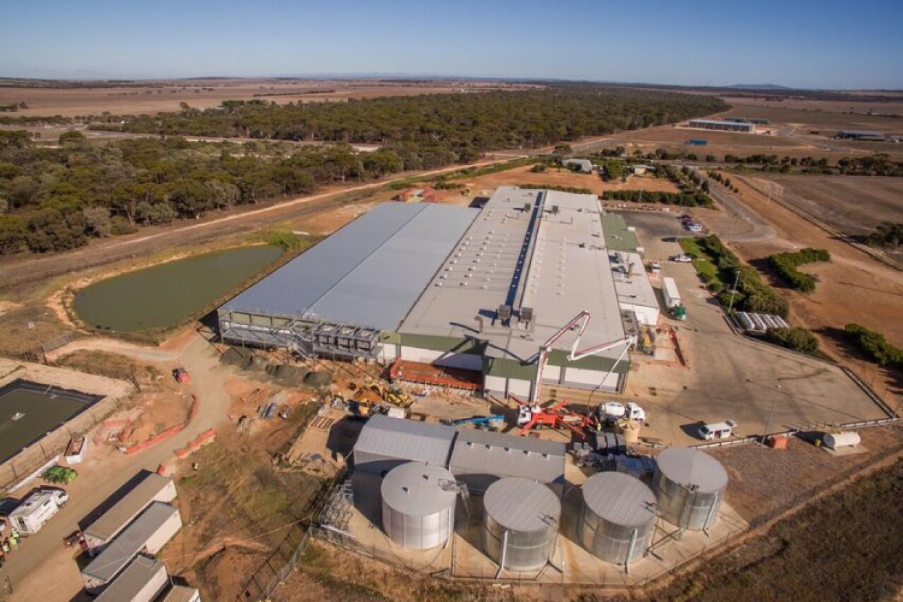 Ingham's poultry processing plant at Monarto is set to be expanded. Photo: supplied. 
