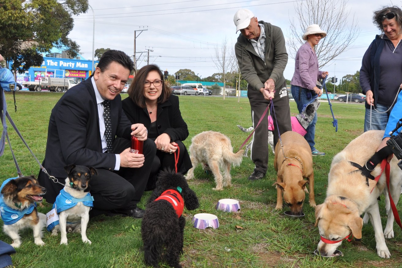 Not a Party Man? Nick Xenophon and Boothby candidate Karen Hockley hosting a Dog's Breakfast near the disputed bottle-neck. Photo: Tom Richardson, InDaily.