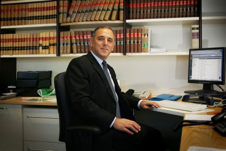 “Justice is not an optional extra”: Pallaras torpedoes “part-time” Rau