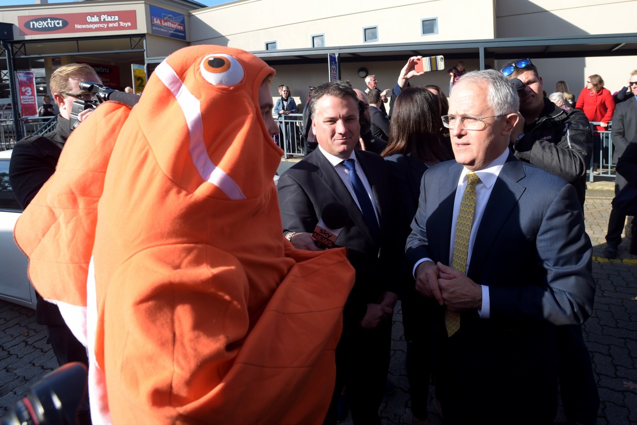 Prime Minister Malcolm Turnbull on the campaign trail. Photo: AAP/Lukas Coch