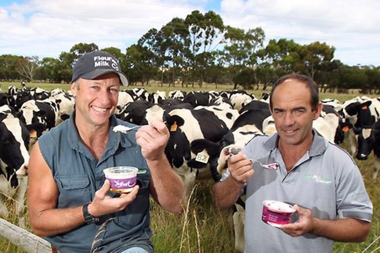Fleurieu Milk Company dairy farmers Barry Clarke and Geoff Hutchinson. Image: supplied.