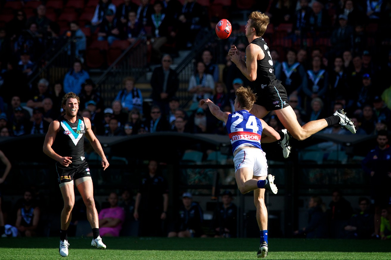 Dougal Howard flies for a mark against the Bulldogs, a week before his season ended against Fremantle. Photo: Michael Errey, InDaily.