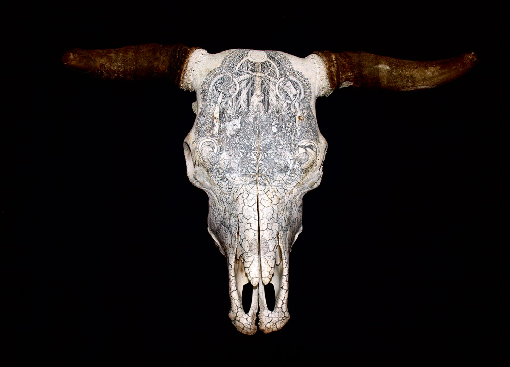 G(RAZED) - pen and ink on a bull’s skull, by Dan Power.