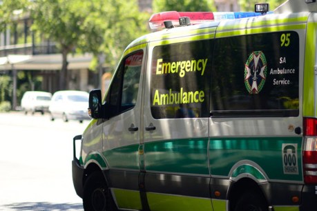 Ambos threaten overtime ban in funding row