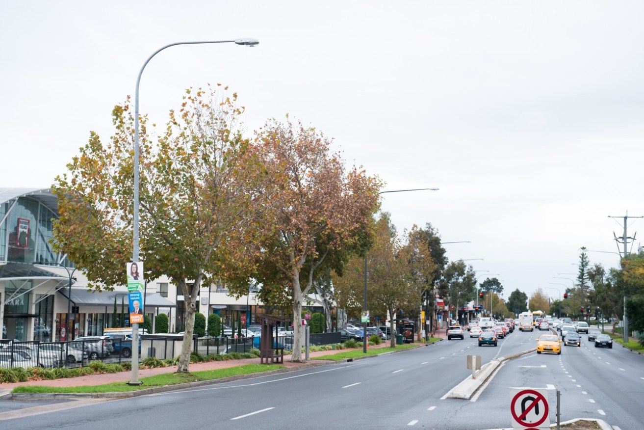 The project to replace thousands of eastern suburbs streetlights with LEDs is estimated to be worth $50 million to the successful tenderer. Photo: Nat Rogers/InDaily