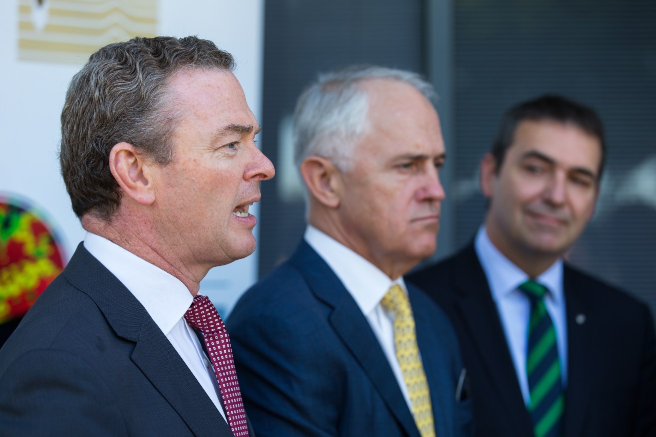 Christopher Pyne and Malcolm Turnbull. Photo:  AAP