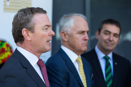 “We’ve won” declares Pyne … but Turnbull still cautious