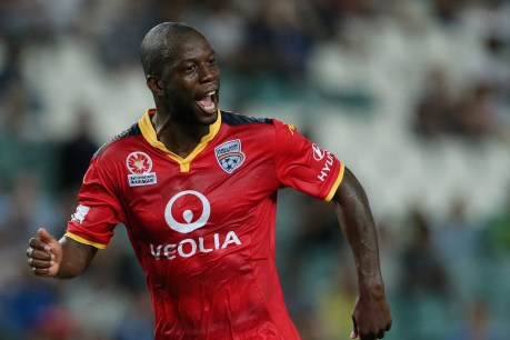 Djite back at United in off-field role