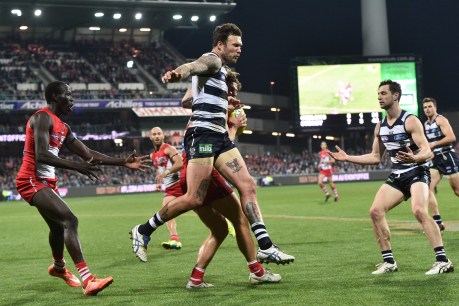 Cats aim to steady the ship against anchored Dockers