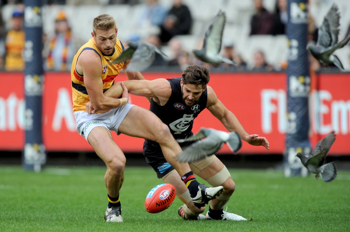 Levi Casboult of the Blues and Daniel Talia of the Crows contest for the ball, during the AFL Round 16 between the Carlton Blues and Adelaide Crows, played at the MCG in Melbourne, Sunday, July 10, 2016. (AAP Image/Joe Castro) NO ARCHIVING, EDITORIAL USE ONLY
