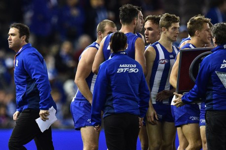 “Champions don’t spend long in situations like this”: Scott backs Roo resurgence