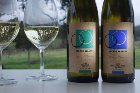 Rich and austere Clare Rieslings