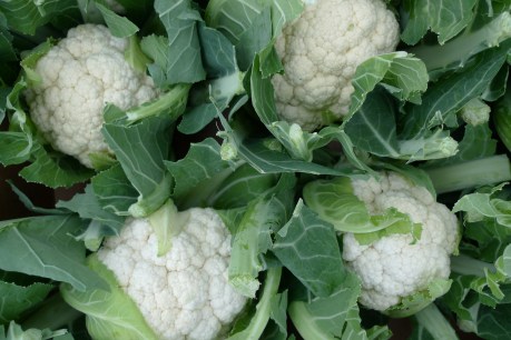 Fresh at the markets: Cauliflower