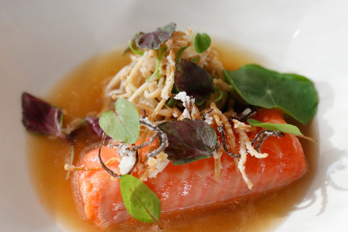 Currant-Shed_Ocean-trout_2