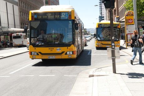 Govt snubs city council on SA’s busiest bus corridor – again