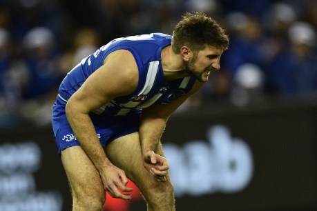 Surgery for North Melbourne spearhead Waite