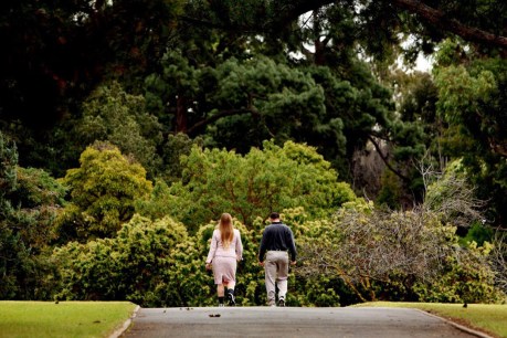 Botanic Gardens appoints first female director
