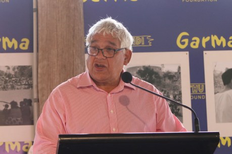 Indigenous leader to co-chair NT royal commission