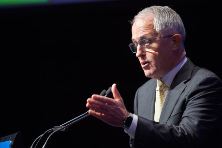 Turnbull’s Liberal donation remains secret