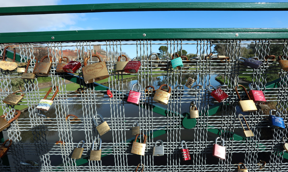 Decidedly fewer locks hang on the Adelaide bridge. Photo: Tony Lewis / InDaily