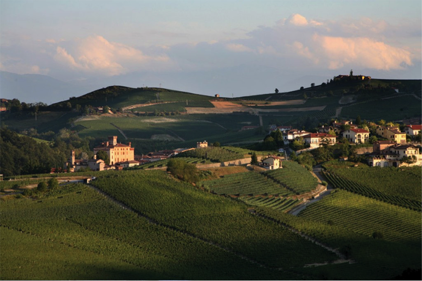 Barolo vineyards, including the famous 'Cannubi', surrounding the actual village named Barolo.